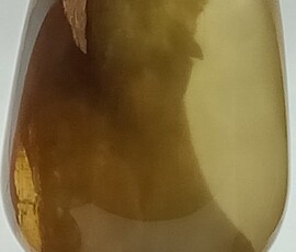 <span style="font-size: 25px;">Medium Dragon's Egg</span>
